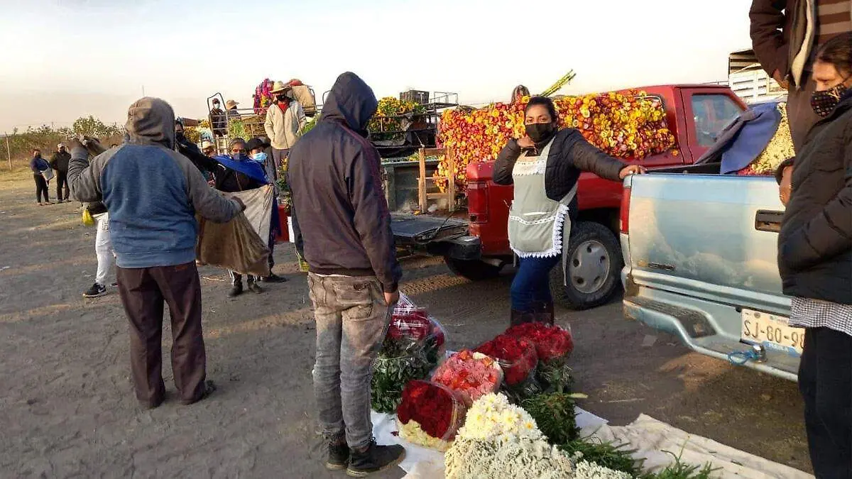 Rosas Atlixco web